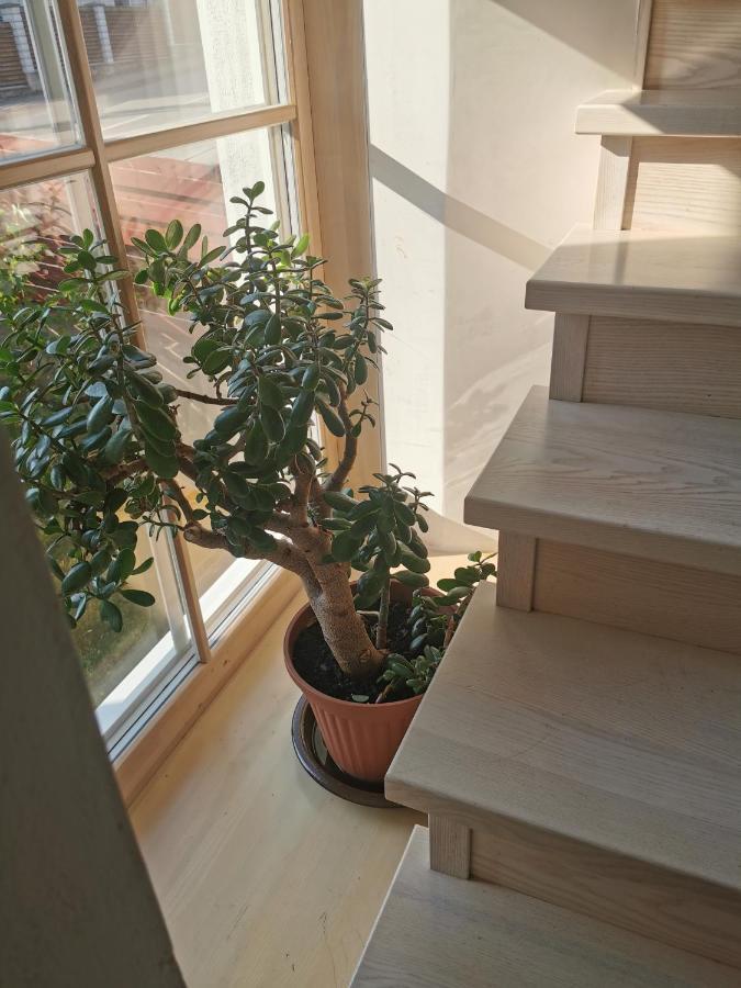 9 Min From Palanga! Luxury House On The River And Sauna Kretinga Exterior photo